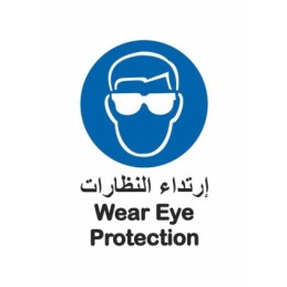 Wear Eye Protection Sign 30 *20