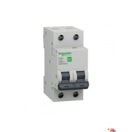 Circuit Breaker Schneider 2A  2P IK60N 6KA