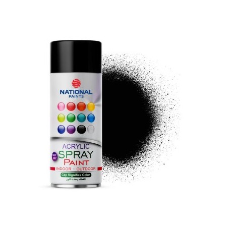 SPRAY PAINT NATIONAL BLACK