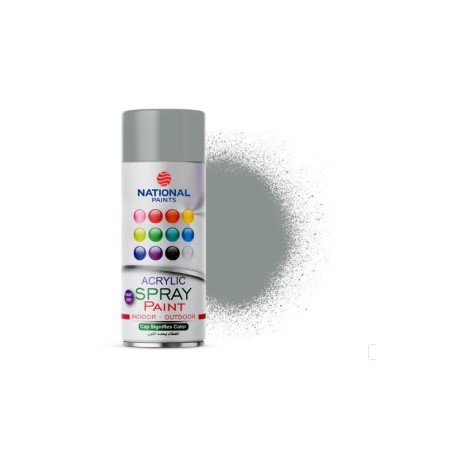 SPRAY PAINT NATIONA SILVER