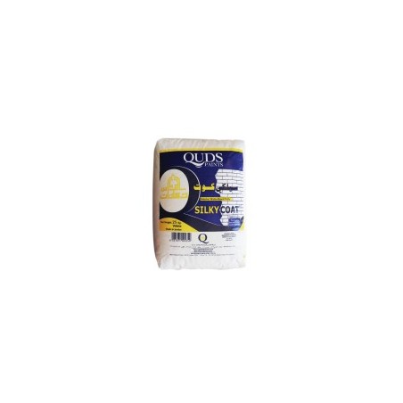 WALL PUTTY 25kg QUDS