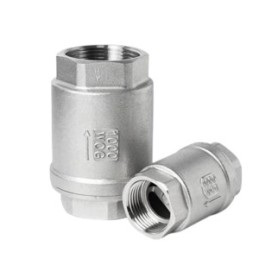 SS check valve thread 4" spring