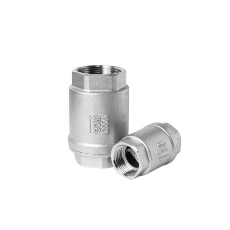 SS check valve thread 4" spring