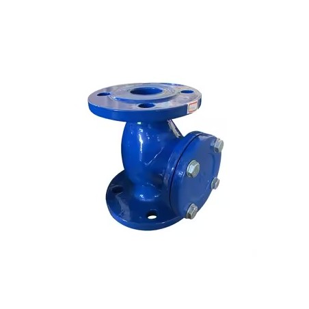 CHECKVALVES (WITH FLANGE) 2 1/2"