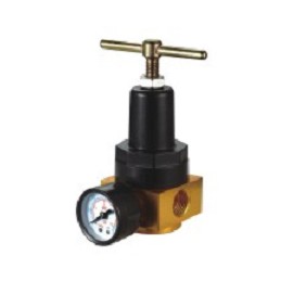 AIRFIT GTYH-20 40BAR Pressure Regulator